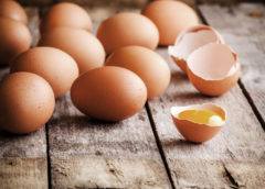 MORA: Všechno co potřebujete vědět o vajíčkách