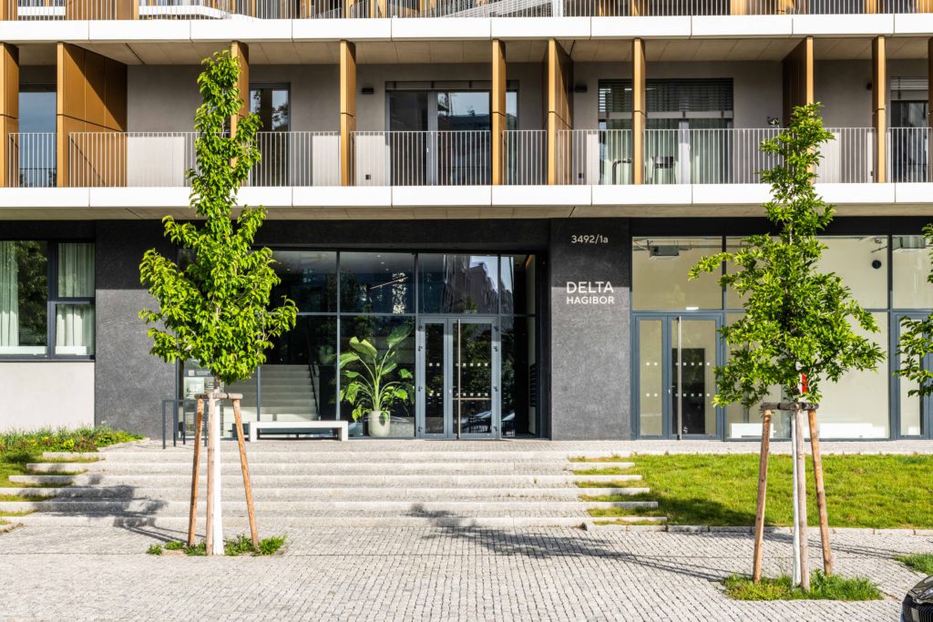 Zeitgeist Asset Management