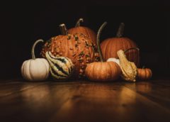 Co uvařit z podzimní úrody: Tři suroviny, ze kterých složíte celé menu