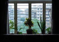 Podzimní balkon jako další místnost: Rostliny, světlo a chytré ukládání